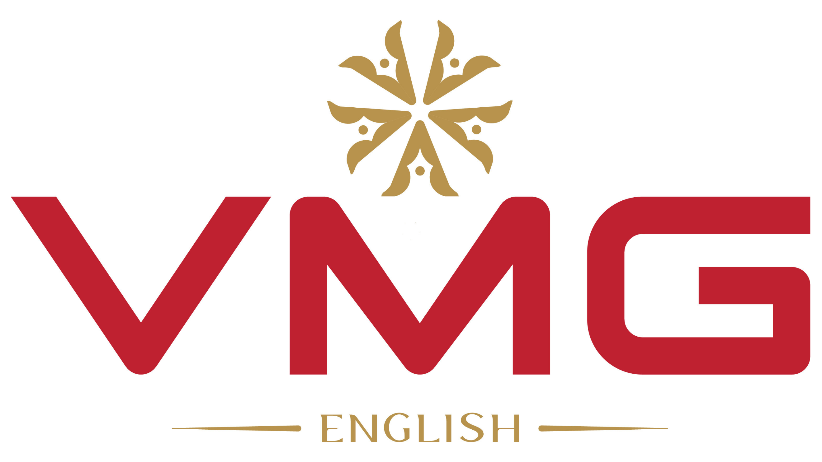 VMG Logo